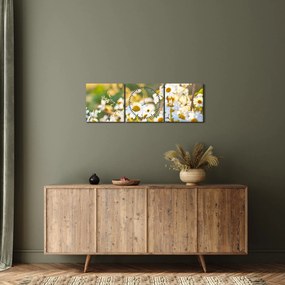 Obraz - Margaréta (s hodinami) (90x30 cm)