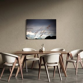 Obraz - Lúčne kvety pri jazere (90x60 cm)