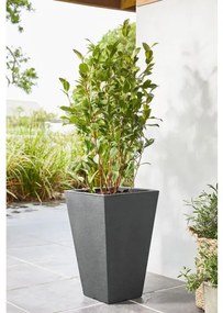 LIVARNO home Hranatý kvetináč, 55 cm (bridlica) (100343824)