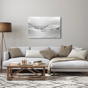 Obraz - Strieborná krajina (90x60 cm)