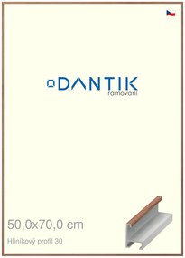 DANTIK rám na obraz 50x70 | ALU Dýha ořech lak matný (Plexi Čiré)