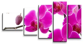 Sablio Obraz - 5-dílný Fialové Orchidey - 100x60 cm