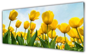 Obraz plexi Tulipány kvety rastlina 125x50 cm