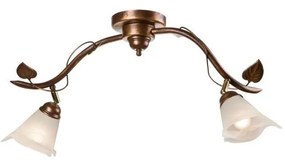 Bodové svietidlo IVY 2xE14/40W/230V