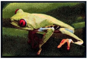 Premium rohožka- zvieratá- žaba (Vyberte veľkosť: 60*40 cm)