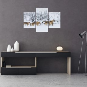 Obraz - Vlci v horách (90x60 cm)