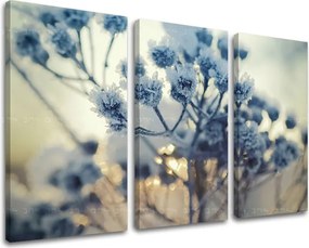 Obraz na stenu 3 dielny KVETY KV069E30 - 120x80 cm