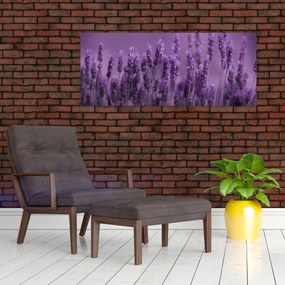 Obraz - Levanduľa (120x50 cm)