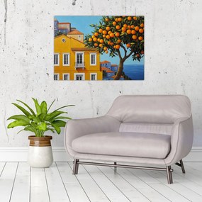 Obraz - Pomarančovník (70x50 cm)