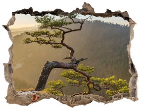 Nálepka fototapeta 3D výhled Pieniny sokolica nd-k-73236563