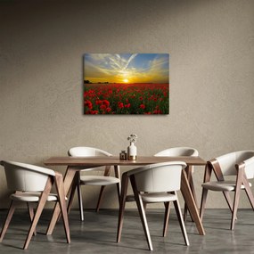 braz poľa vlčích makov (70x50 cm)