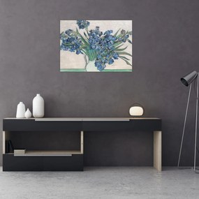 Obraz - Vincent van Gogh, Irises, reprodukcia (70x50 cm)