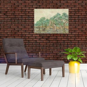 Obraz - Vincent van Gogh, The Olive Orchard, reprodukcia (70x50 cm)