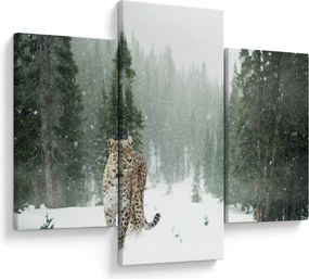 Obraz leoparda v snehu (90x60 cm)