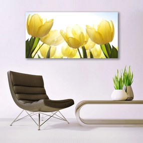 Obraz plexi Tulipány kvety lúče 120x60 cm