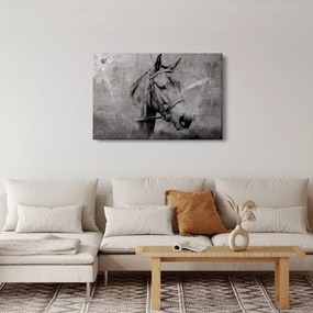 Obraz - Portrét koňa (90x60 cm)