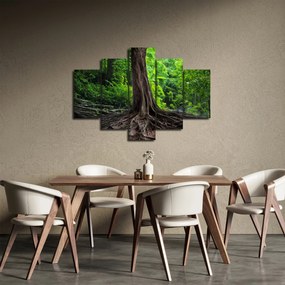 Obraz - Starý strom s koreňmi (150x105 cm)