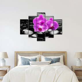 Obraz - Fialové orchidey (150x105 cm)