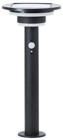 Brilliant - LED Solárna lampa so senzorom GARVINA LED/3W/3,7V 45 cm IP44 čierna