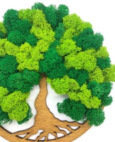 Strom na stenu z machu Eurydice 20 cm