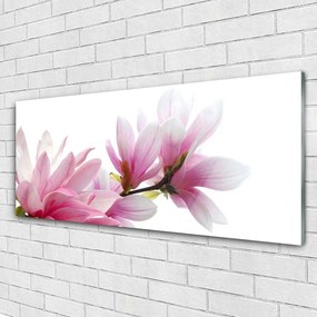 Obraz na akrylátovom skle Magnolie kvet 125x50 cm