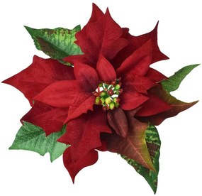 POINSETTIA ČERVENÁ KLIP 20CM