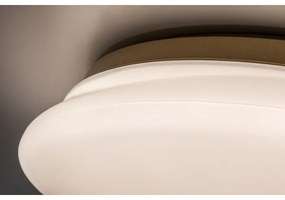 Rabalux 75053 - LED kúpeľňové stropné svietidlo CALIOPE LED/24W/230V IP44 pr. 41 cm