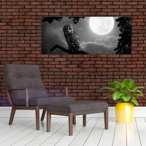 Obraz - Nočná sova, čiernobiela (120x50 cm)