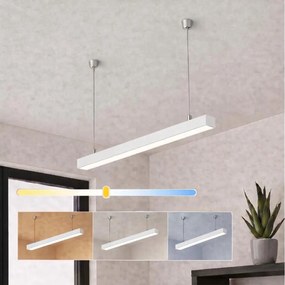 Brilagi - LED závesné svietidlo FULLDAY LED/10/15/20W/230V 2700/4000/6000K 60 cm biela