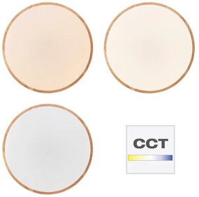 Brilliant - LED stmievané stropné svietidlo SLIMLINE LED/60W/230V + diaľkové ovládanie