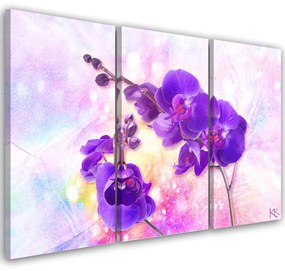Obraz na plátně třídílný, Fialová orchidej - 90x60 cm