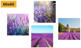 Set obrazov pre milovníkov levandule - 4x 60x60