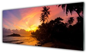 Obraz plexi More slnko palmy krajina 125x50 cm