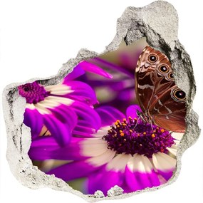 Samolepiaca diera nálepka betón Motýľ na kvetine nd-p-84885251