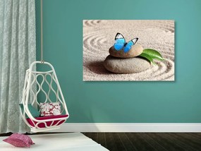 Obraz modrý motýľ v Zen záhrade - 60x40