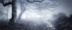 Obraz - Cesta v hmle (120x50 cm)