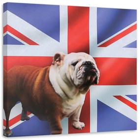 Obraz na plátně Bulldog Dog Anglická vlajka - 60x60 cm