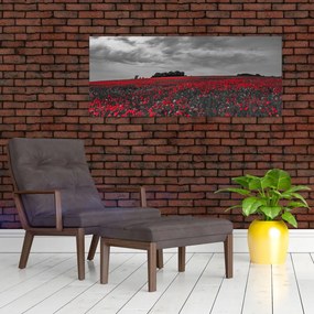 Obraz vlčích makov (120x50 cm)