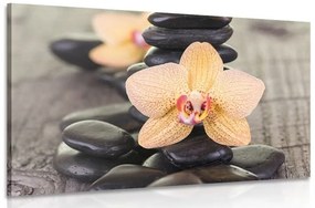 Obraz žltá orchidea a Zen kamene - 90x60