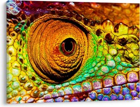 Obraz - Chameleon (70x50 cm)
