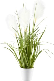 XXXLutz DEKORAČNÁ TRÁVA 53 cm Ambia Home - Kvety & kvetináče - 0039530053