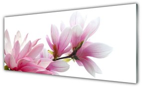 Obraz na akrylátovom skle Magnolie kvet 125x50 cm