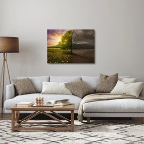 Sklenený obraz - Kolobeh života (70x50 cm)