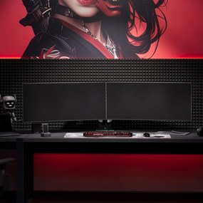 Dvojité rameno na monitory 35 palcov, bielo-čierne X-Arm Dual RGB
