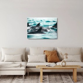 Sklenený obraz - Delfíny v oceáne (70x50 cm)