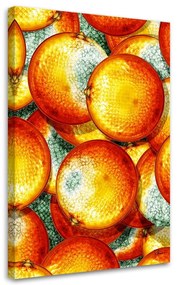Gario Obraz na plátne Pomaranče - Rubiant Rozmery: 40 x 60 cm