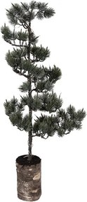 Dekoratívny svietiaci ihličnatý stromček na podstavci Bonsai Tree LED M - 28*20*75 cm / 3*AAA