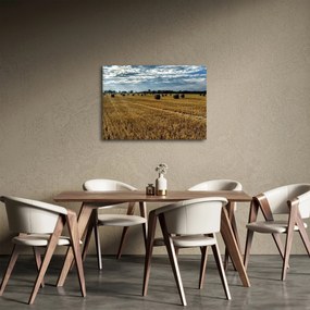 Obraz zozbieraného obilného poľa (70x50 cm)