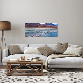 Obraz - Plameniaky (120x50 cm)