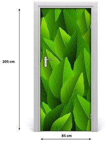 Samolepiace fototapety na dvere zelené lístie 85x205 cm